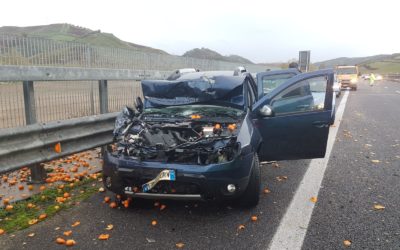 STRADE KILLER,UDICON:URGE MAGGIORE SICUREZZA CODICE STRADA,COLAMARIA:SENSIBILIZZARE A GUIDA RESPONSABILE RENDE,NESCI: VICINI A DOLORE FAMIGLIE