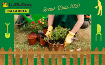 Bonus Verde 2020: una guida per tutti!