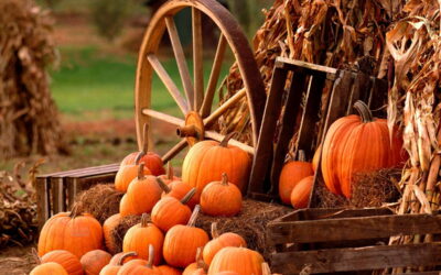 L’U.Di.Con. Regionale Calabria augura Buon Halloween! Dolcetto o scherzetto?