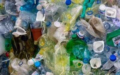 Il Pianeta Affoga nella Plastica: Consumo e Incenerimento Sconvolgono gli Equilibri